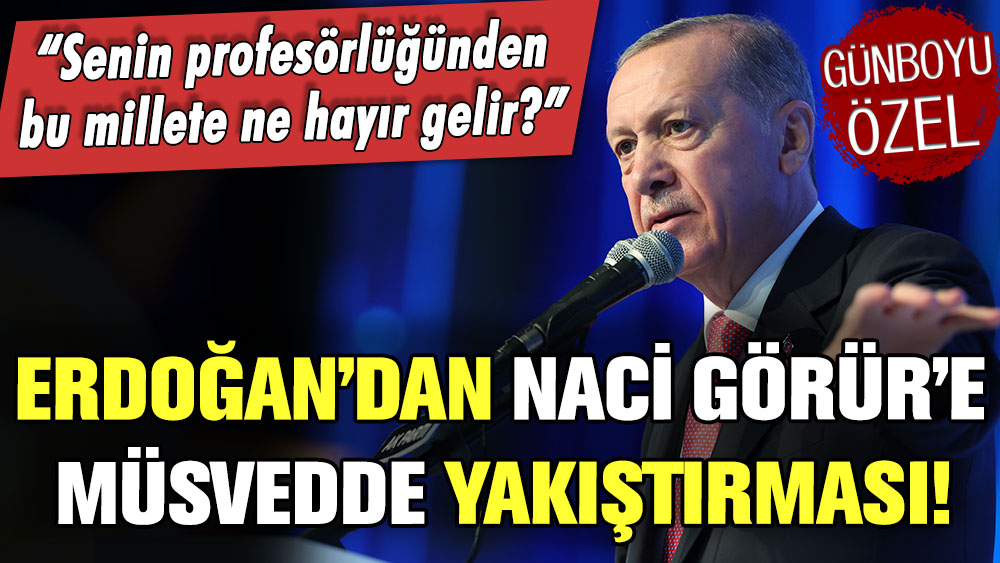 Erdoğan'dan Naci Görür'e: 'Profesör müsveddesi'