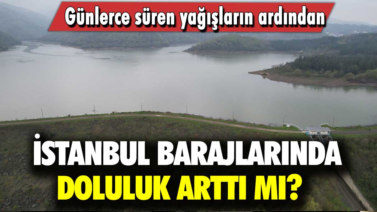 Günlerce süren yağışların ardından: İstanbul barajlarında doluluk arttı mı?