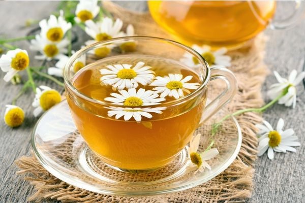 Papatya çayının faydaları nelerdir, hangi hastalıklara iyi gelir?