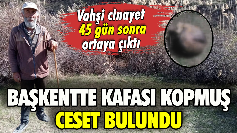 Ankara'da korkunç olay: Kafası koparılmış ceset bulundu