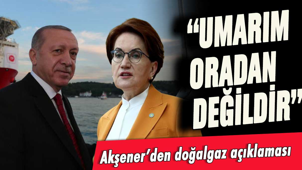 Akşener Erdoğan'ın doğalgaz vaadini nasıl yaptığını açıkladı: Umarım değildir...