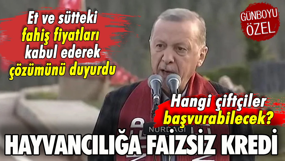 Erdoğan'dan hayvancılıkta faizsiz kredi duyurusu: Hangi çiftçiler başvurabilecek?