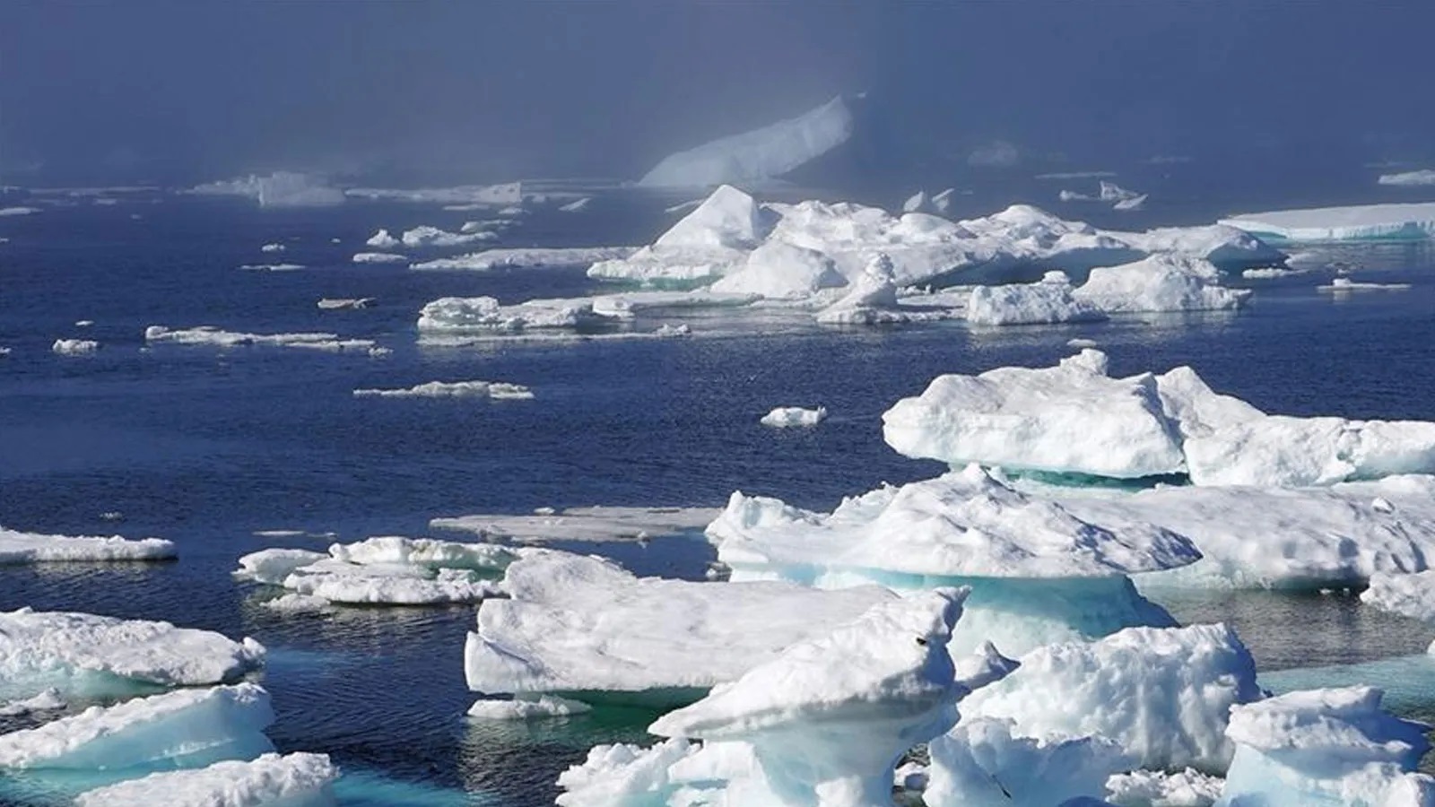 10 yılda buzulların yüzde 2'si eridi