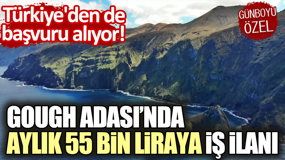 Gough adasında aylık 55 bin liraya iş ilanı: Türkiye'den de başvuru alıyor
