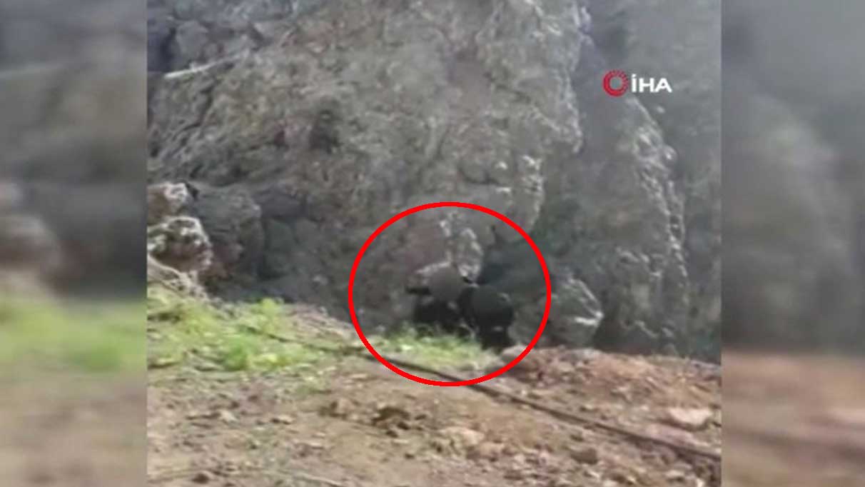 MSB o anı paylaştı: 2 PKK’lı terörist teslim oldu!