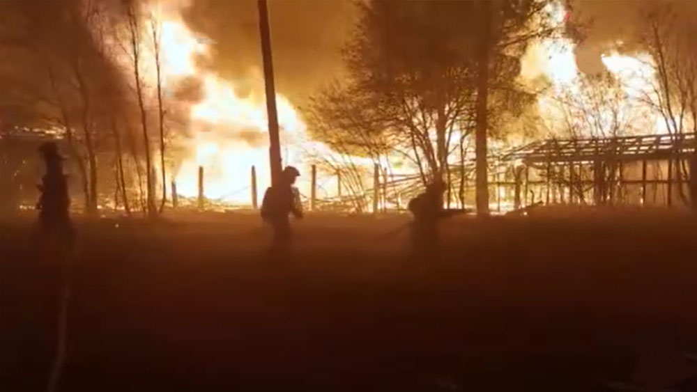 Rusya'da orman yangını 13 eve sıçradı, 500 kişi tahliye edildi