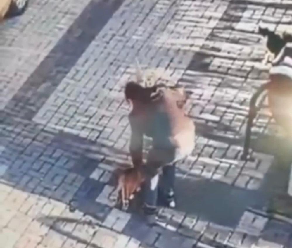 Kediye malayla vuran çocuk yakalandı