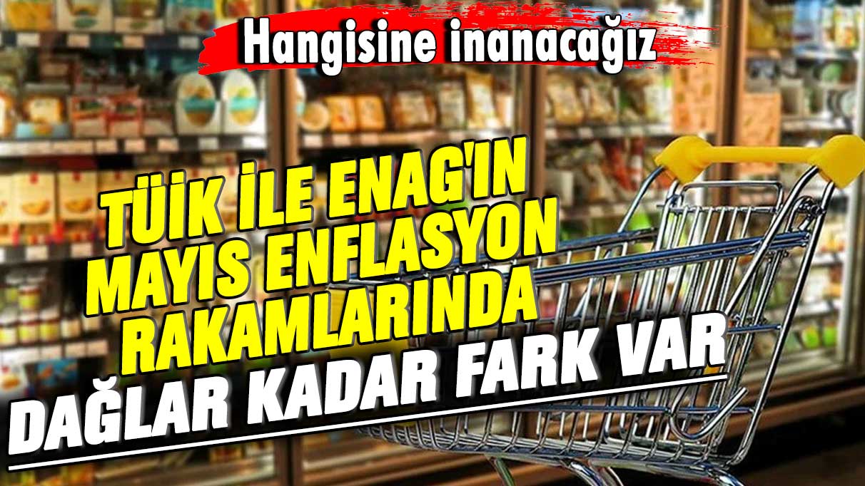 Hangisine inanacağız! TÜİK ile ENAG'ın mayıs enflasyon rakamlarında dağlar kadar fark var