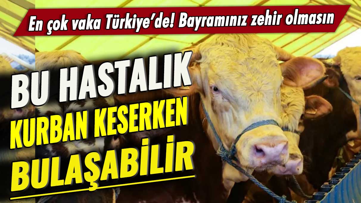 En çok vaka Türkiye’de! Bayramınız zehir olmasın:  Bu hastalık kurban keserken bulaşabilir