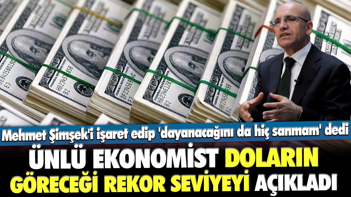 Ünlü ekonomist doların göreceği rekor seviyeyi açıkladı: Mehmet Şimşek'i işaret edip 'dayanacağını da hiç sanmam' dedi