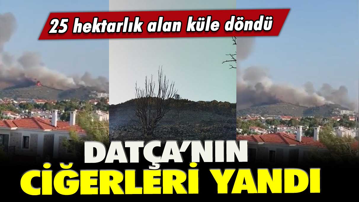 Datça’nın ciğerleri yandı: 25 hektarlık alan küle döndü