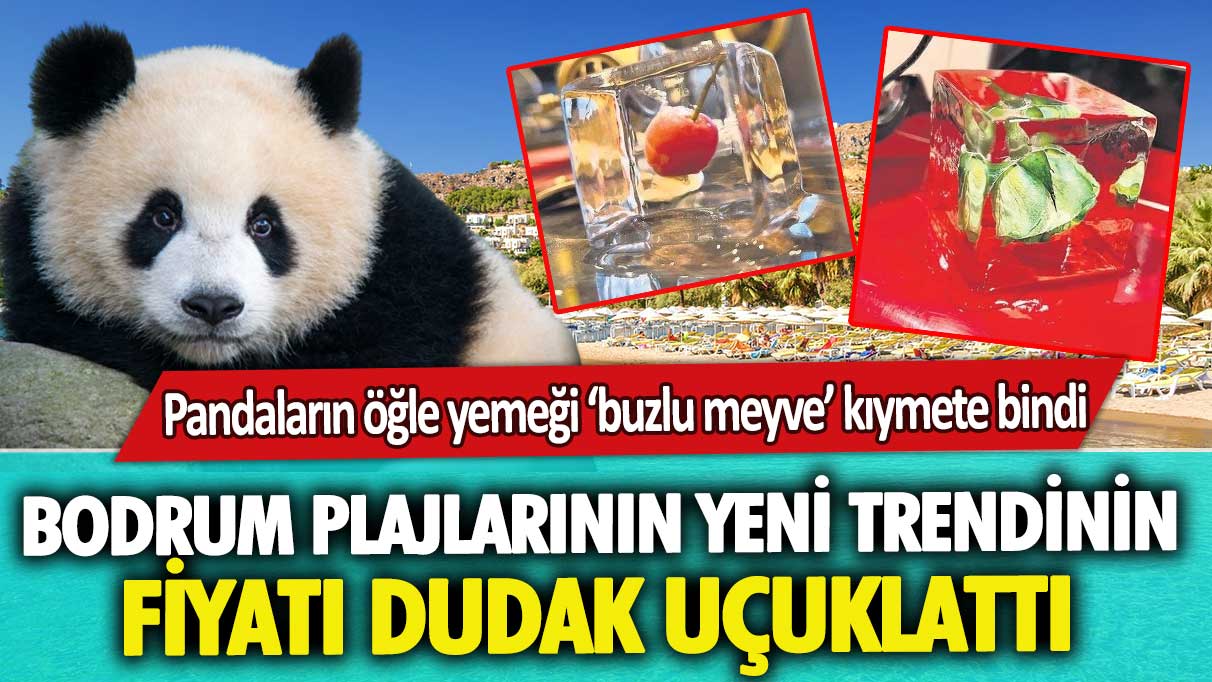 Pandaların öğle yemeği ‘buzlu meyve’ kıymete bindi: Bodrum plajlarının yeni trendinin fiyatı dudak uçuklattı
