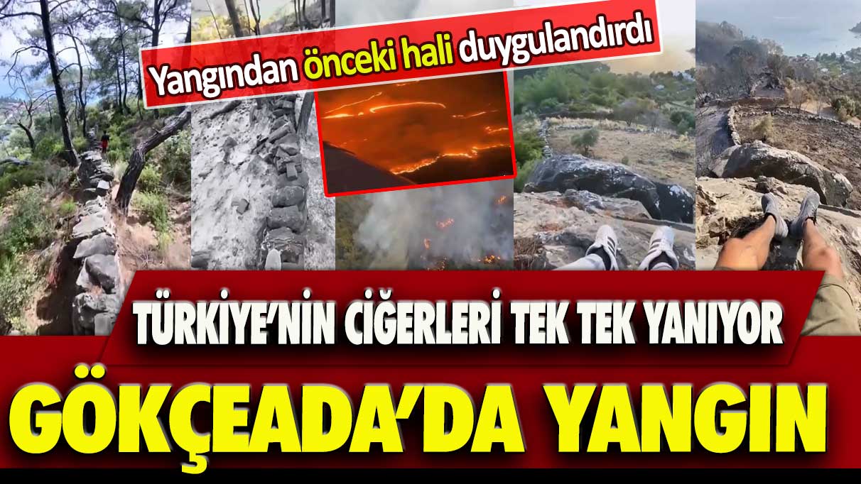 Gökçeada’da yangın: Türkiye’nin ciğerleri tek tek yanıyor