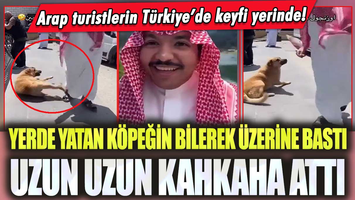 Yerde yatan köpeğin bilerek üzerine bastı, uzun uzun Kahkaha attı: Arap turistlerin Türkiye’de keyfi yerinde!