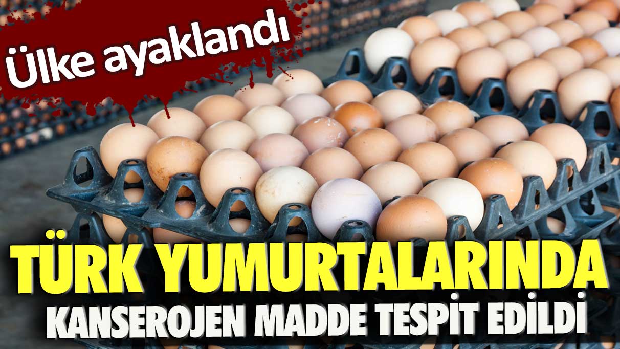 Türk yumurtalarında kanserojen madde tespit edildi: Ülke ayaklandı