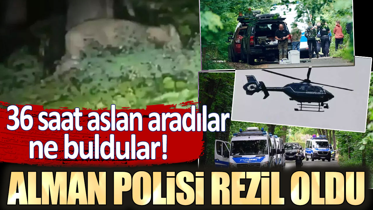 36 saat aslan aradılar, ne buldular! Alman polisi rezil oldu