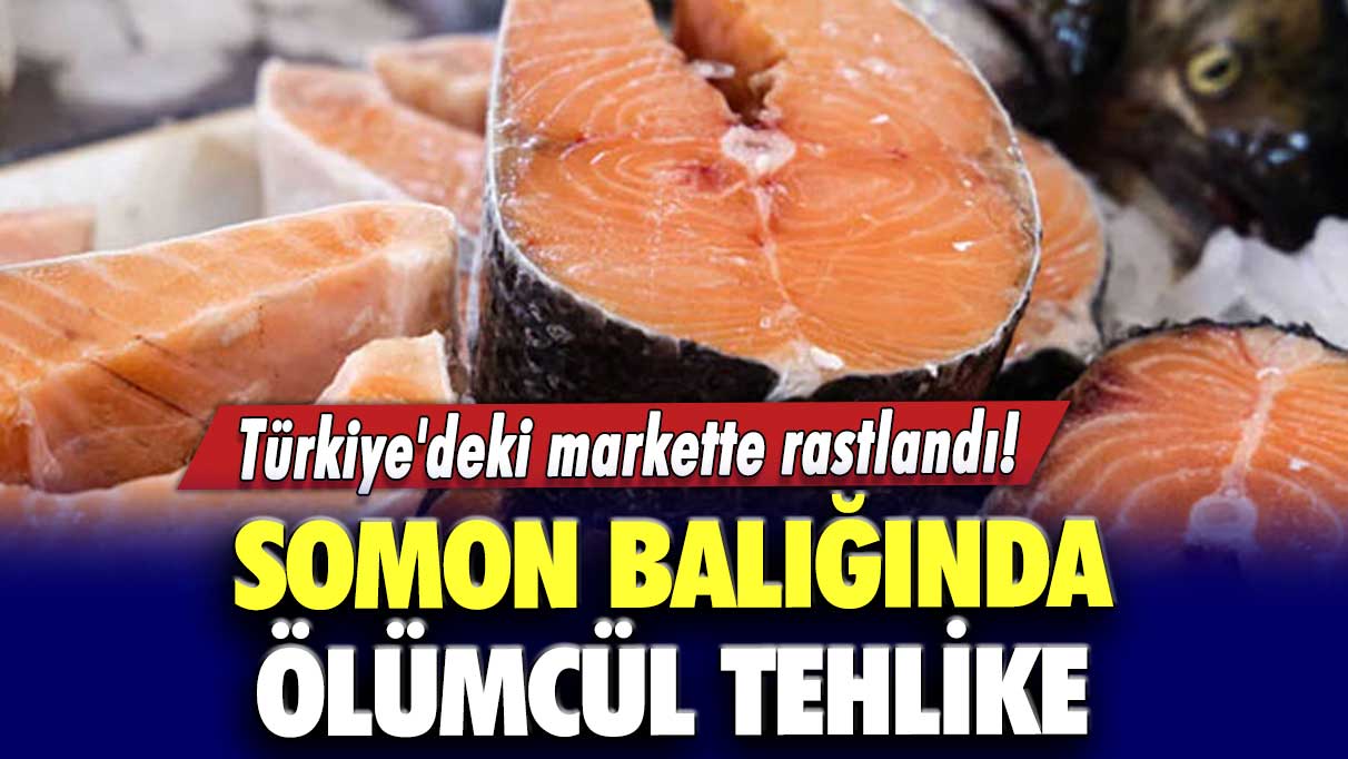 Türkiye'deki markette rastlandı! Somon balığında ölümcül tehlike