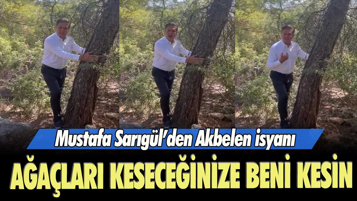 Mustafa Sarıgül’den Akbelen isyanı: Ağaçları keseceğinize beni kesin