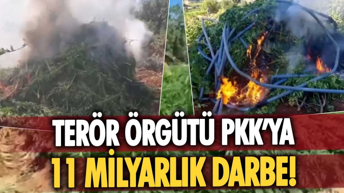 Bakan Yerlikaya duyurdu: Terör örgütü PKK'ya büyük darbe!