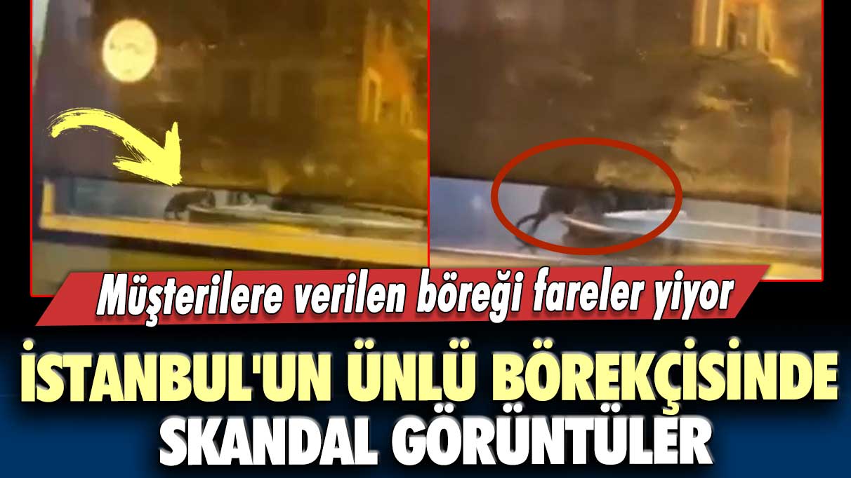 İstanbul Sirkeci'deki tarihi Levent Börekçisi'nde  skandal görüntüler: Müşterilere verilen böreği fareler yiyor!