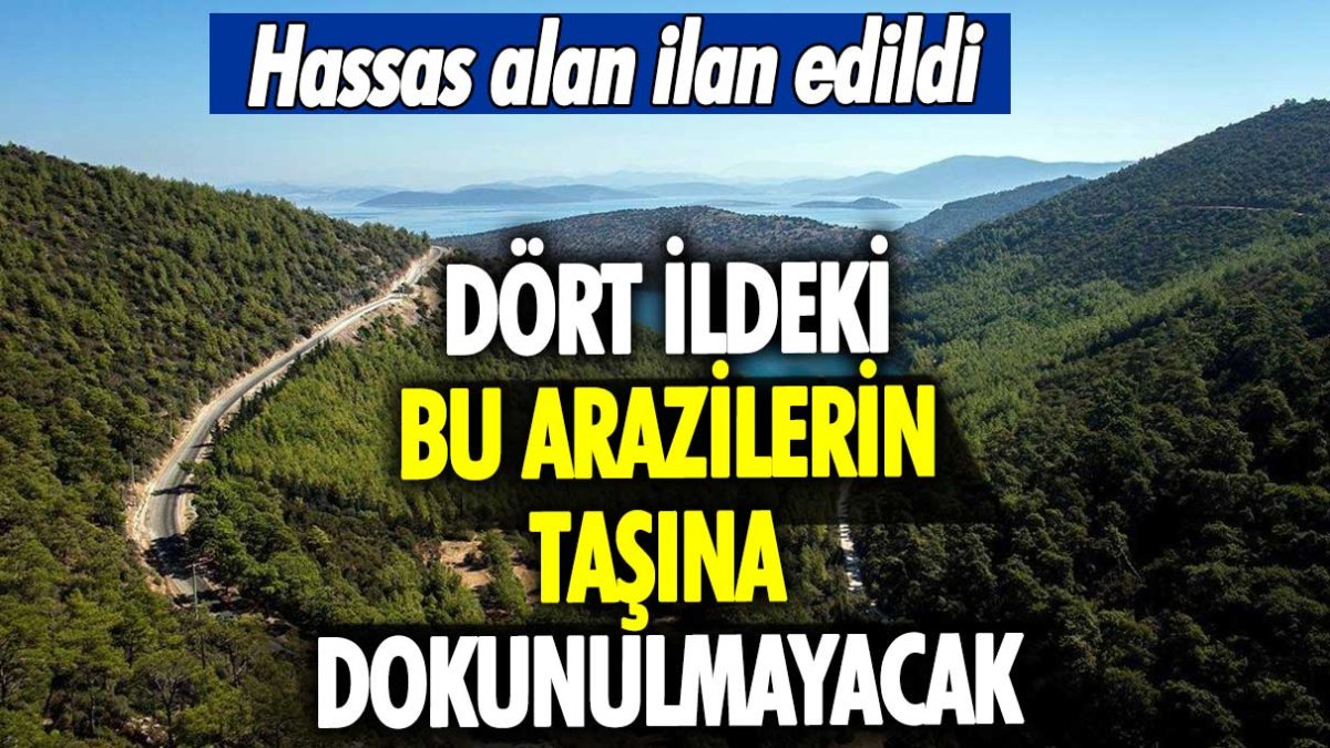 Dört ildeki bu arazilerin taşına dokunulmayacak: Hassas alan ilan edildi