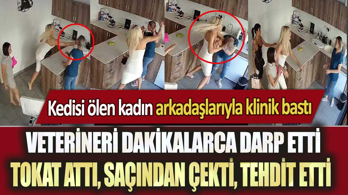 Ankara’da kedisi ölen kadın arkadaşlarıyla klinik bastı: Veterineri dakikalarca darp etti
