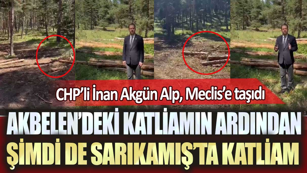 Akbelen’deki katliamın ardından şimdi de Sarıkamış’ta katliam: CHP’li İnan Akgün Alp, Meclis’e taşıdı