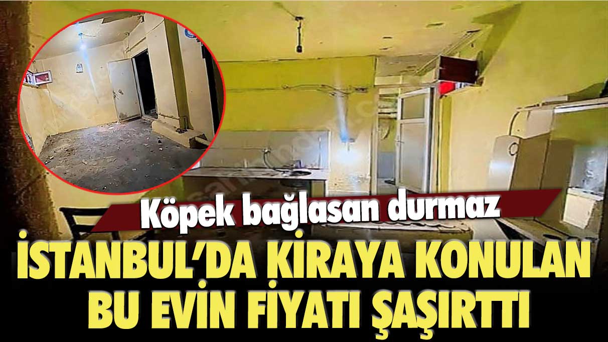 Köpek bağlasan durmaz: İstanbul’da kiraya konulan bu evin fiyatı şaşırttı