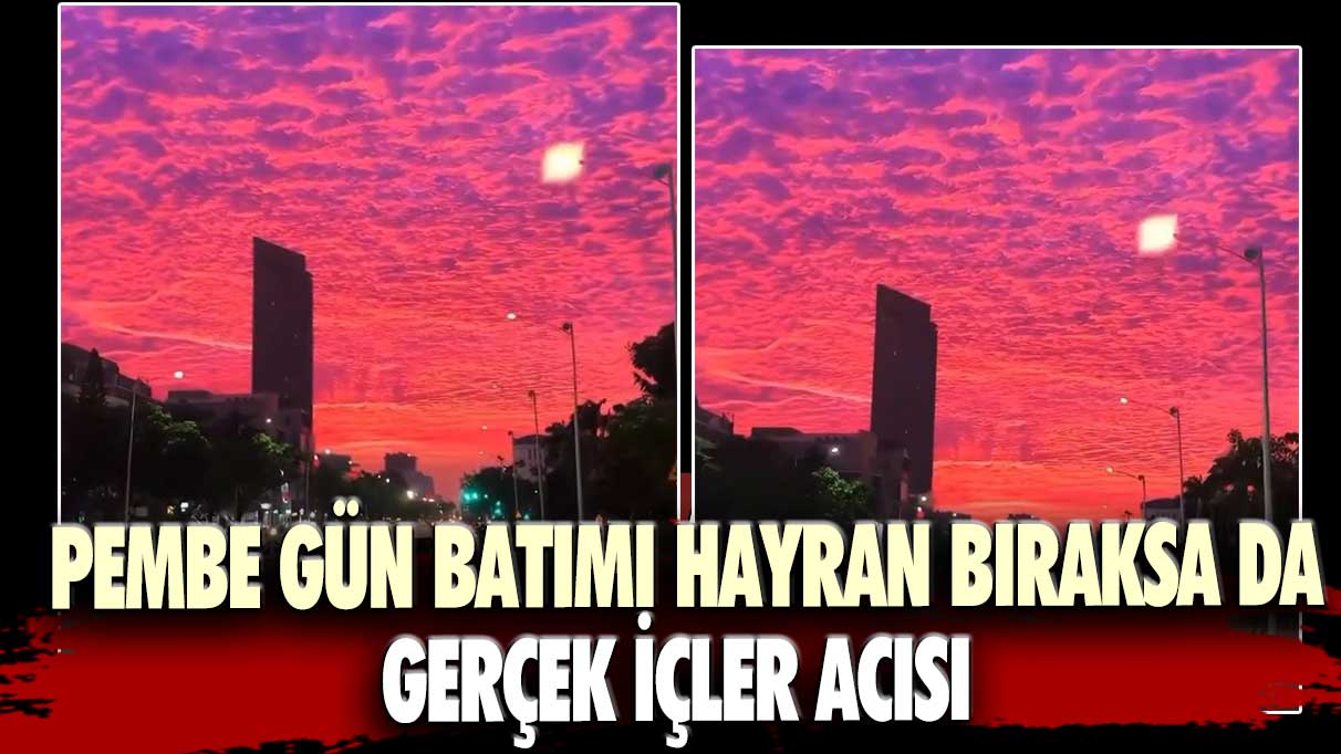 Vietnam’daki pembe gün batımı izleyenleri hayran bıraksa da gerçek içler acısı