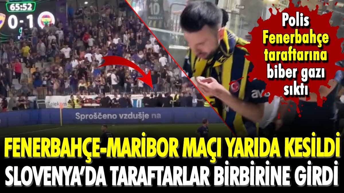 Fenerbahçe-Maribor maçı yarıda kesildi: Taraftarlar tribünü savaş alanına çevirdi!