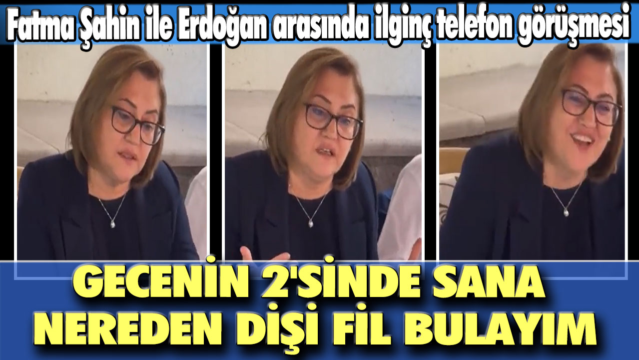 Fatma Şahin ile Erdoğan arasında ilginç telefon görüşmesi: Gecenin 2'sinde sana nereden dişi fil bulayım