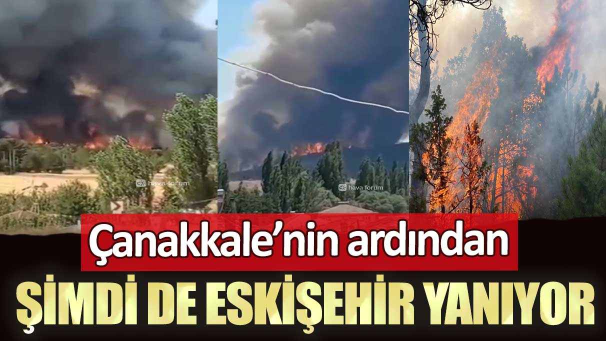 Çanakkale’nin ardından şimdi de Eskişehir yanıyor