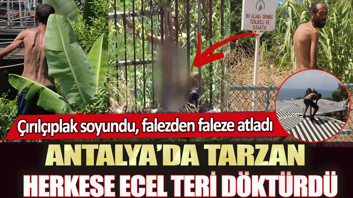 Antalya’da Tarzan herkese ecel teri döktürdü: Çırılçıplak soyundu, falezden faleze atladı