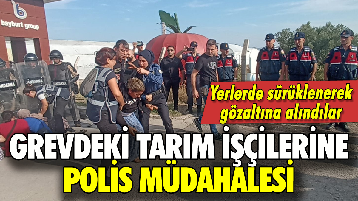 İzmir'de grevdeki tarım işçilerine müdahale: Çok sayıda gözaltı