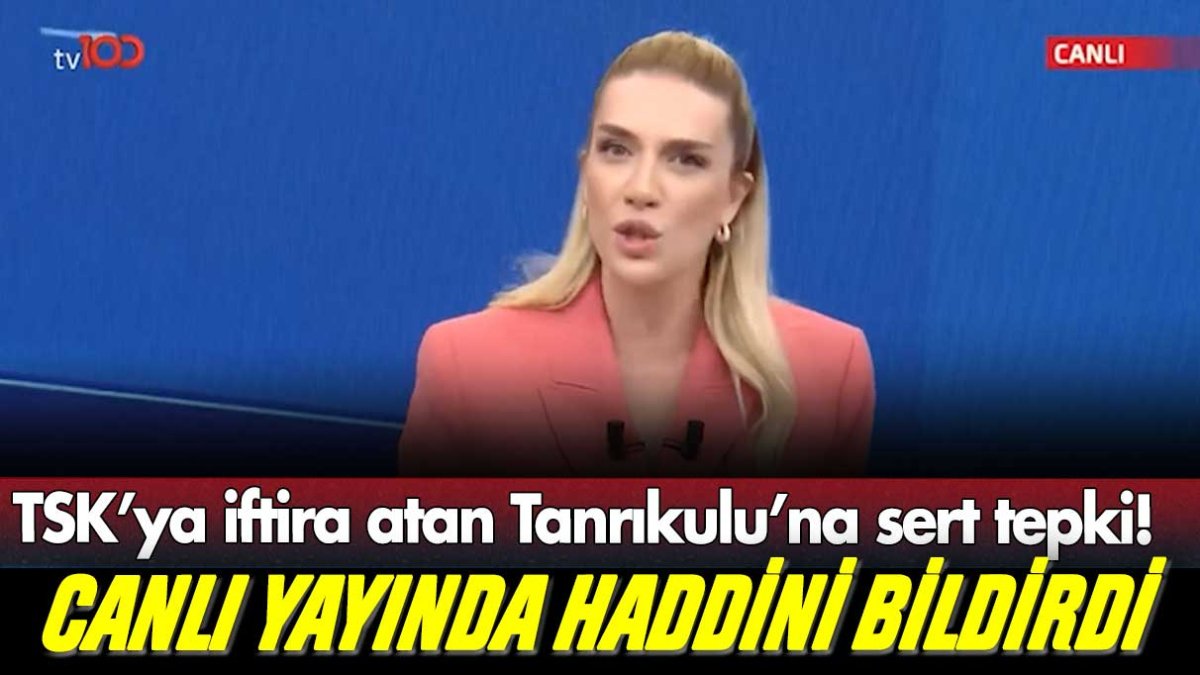 Türk askerine dil uzatan Sezgin Tanrıkulu'na canlı yayında haddini bildirdi!