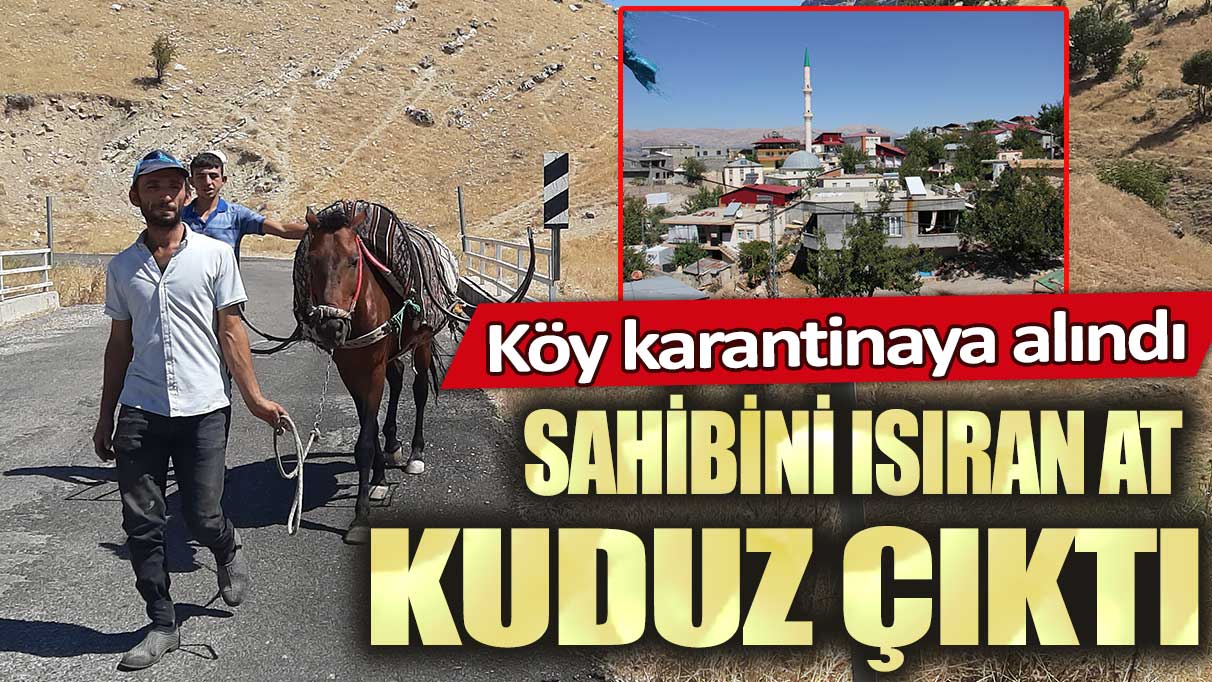 Adıyaman'da sahibini ısıran at kuduz çıktı: Köy karantinaya alındı