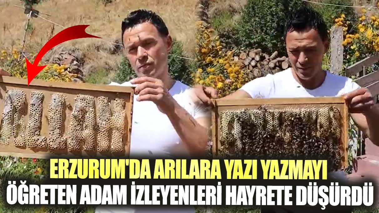Erzurum'da arılara yazı yazmayı öğreten adam izleyenleri hayrete düşürdü