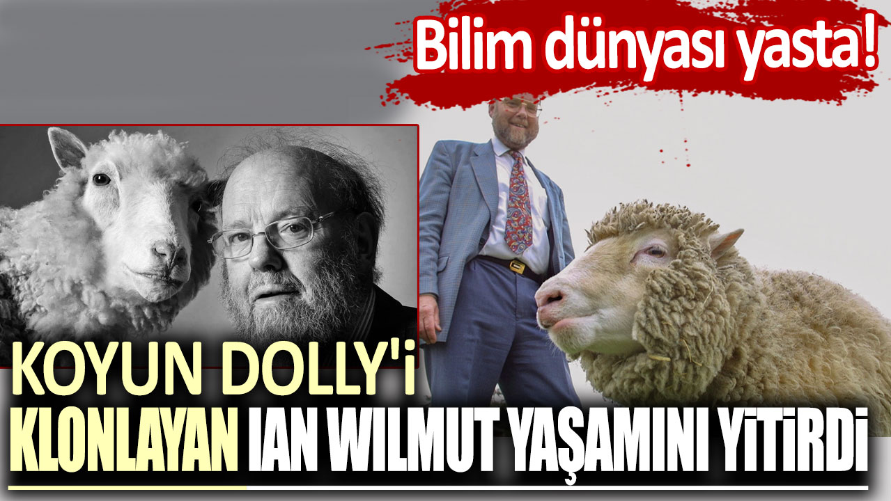 Bilim dünyası yasta! Koyun Dolly'i klonlayan Ian Wilmut yaşamını yitirdi