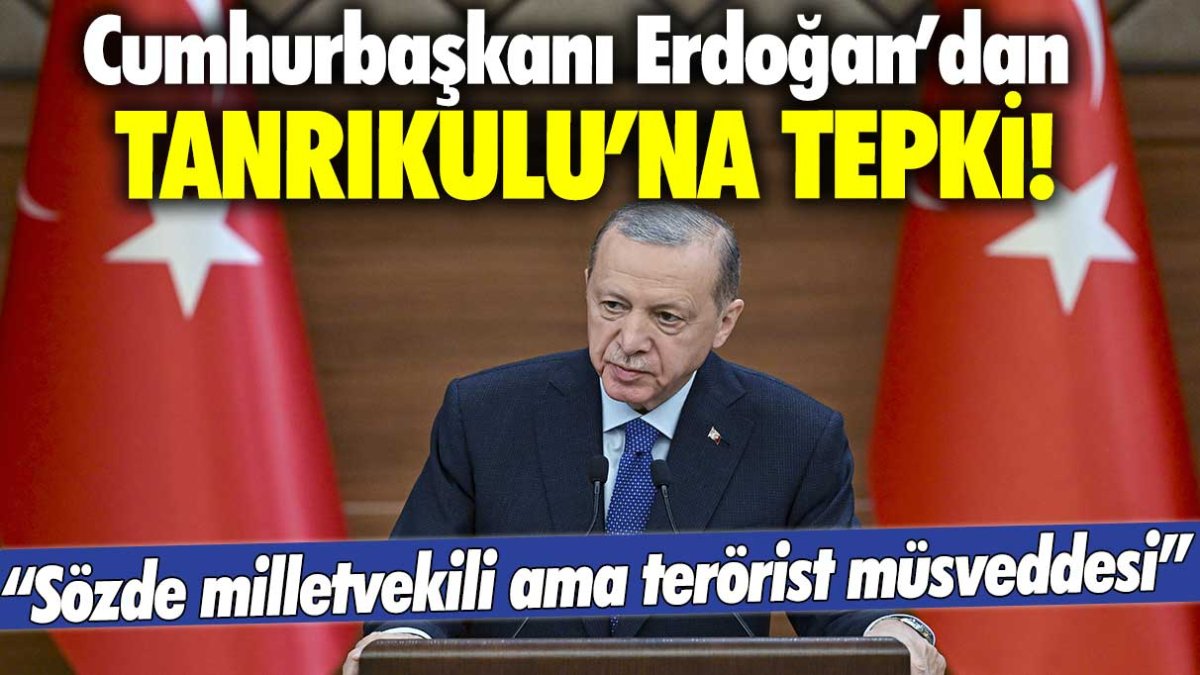Cumhurbaşkanı Erdoğan'dan Sezgin Tanrıkulu'na tepki: “Sözde milletvekili ama terörist müsveddesi”