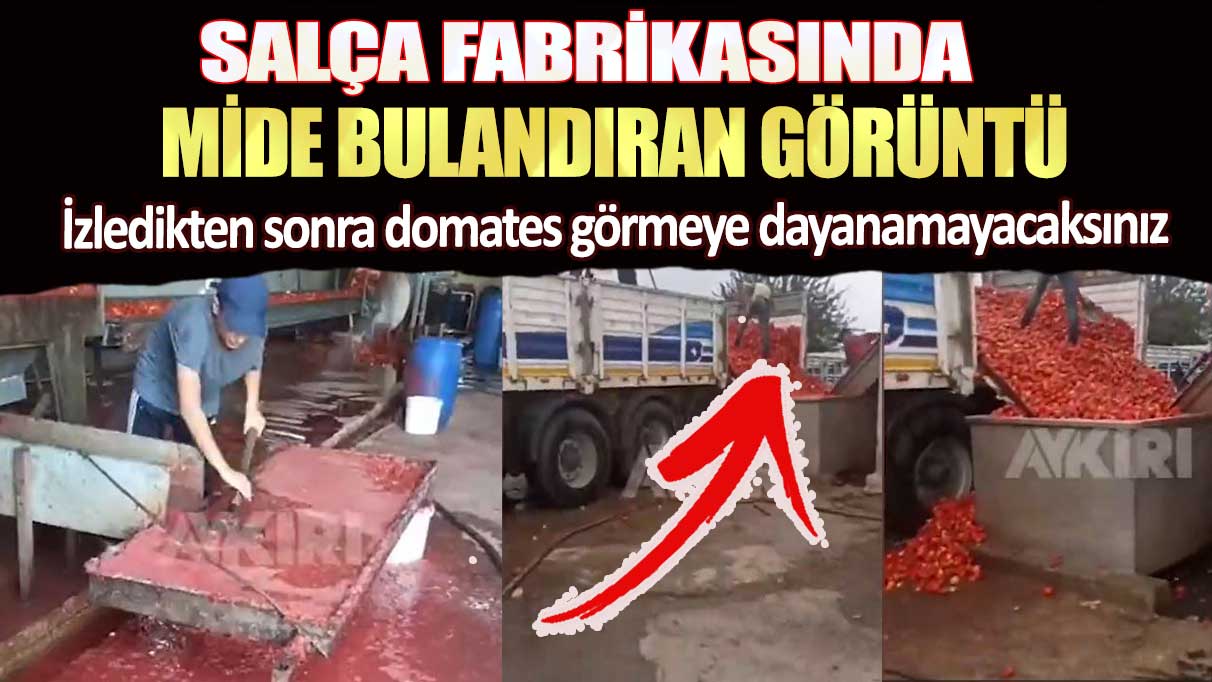 Konya'da salça fabrikasında mide bulandıran görüntü: İzledikten sonra domates görmeye dayanamayacaksınız