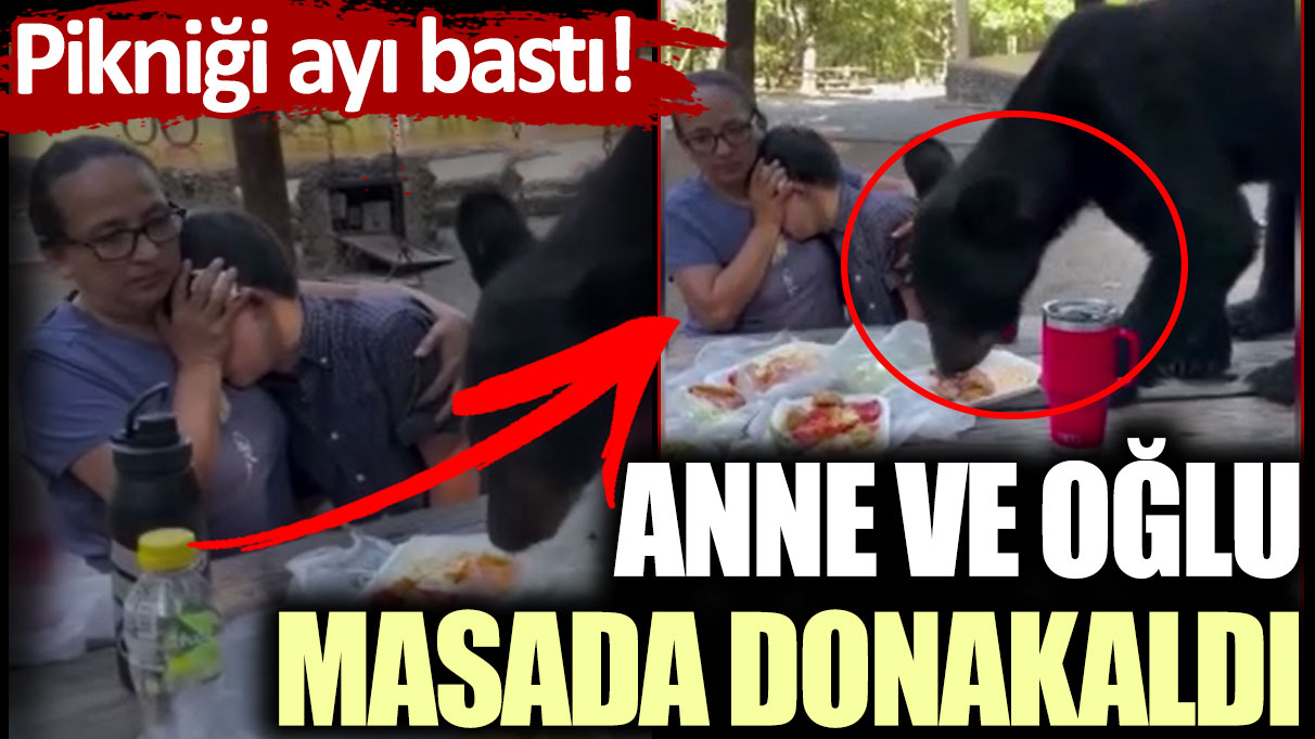 Pikniği ayı bastı! Anne ve oğlu masada donakaldı