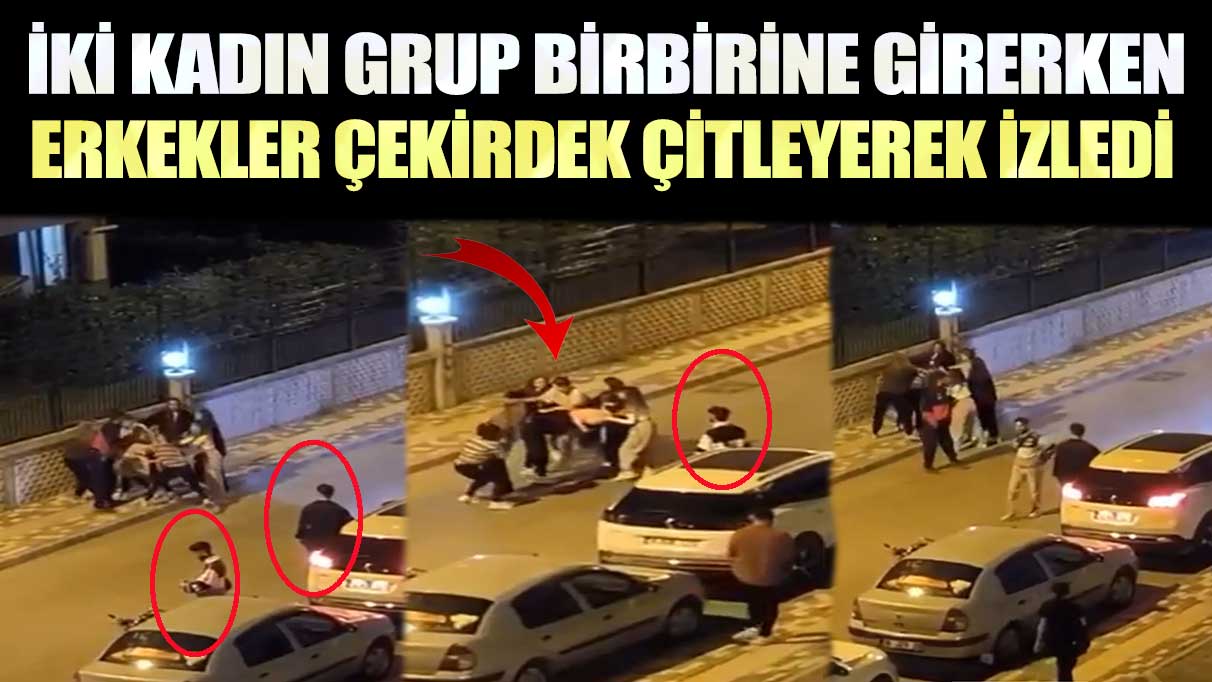 Bursa’da iki kadın grup birbirine girerken erkekler çekirdek çitleyerek izledi