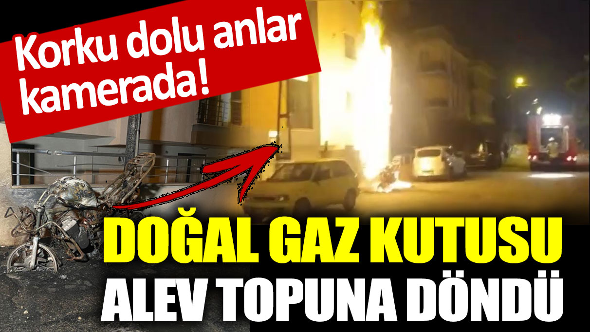 Korku dolu anlar kamerada! Doğal gaz kutusu alev topuna döndü