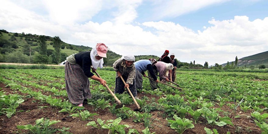 Çiftçilerin yüzde 61’inin geliri azaldı!