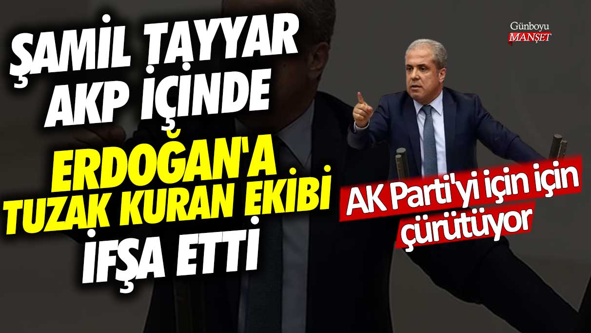Şamil Tayyar AKP içinde Erdoğan'a tuzak kuran ekibi ifşa etti! AK Parti'yi için için çürütüyor