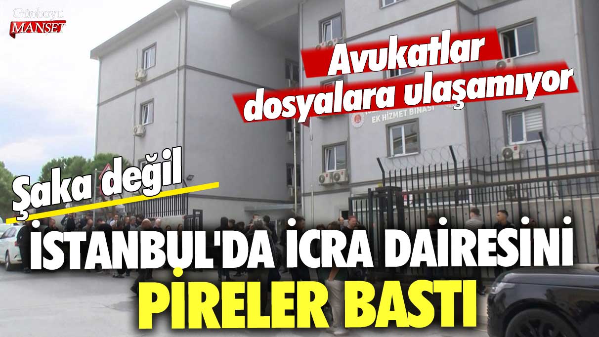 Şaka değil... İstanbul'da icra dairesini pireler bastı! Avukatlar dosyalara ulaşamıyor
