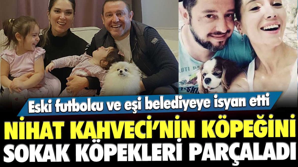 Nihat Kahveci’nin köpeğini sokak köpekleri parçaladı