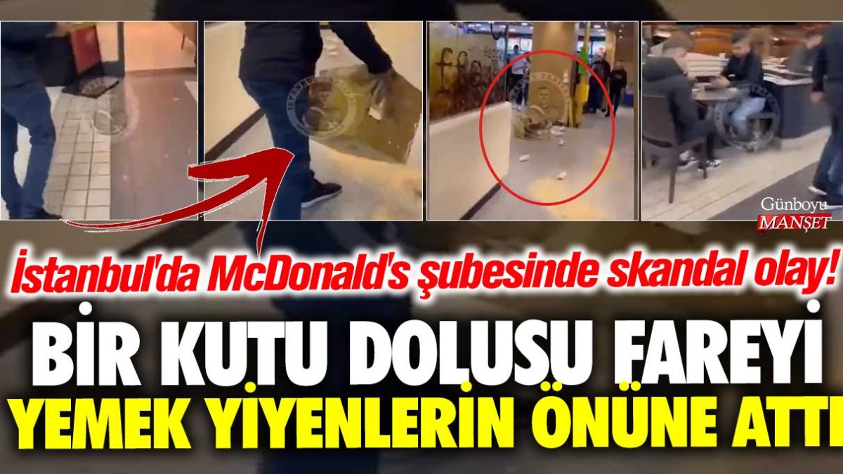 İstanbul'da McDonald's şubesinde skandal olay! Bir kutu dolusu fareyi yemek yiyenlerin önüne attı