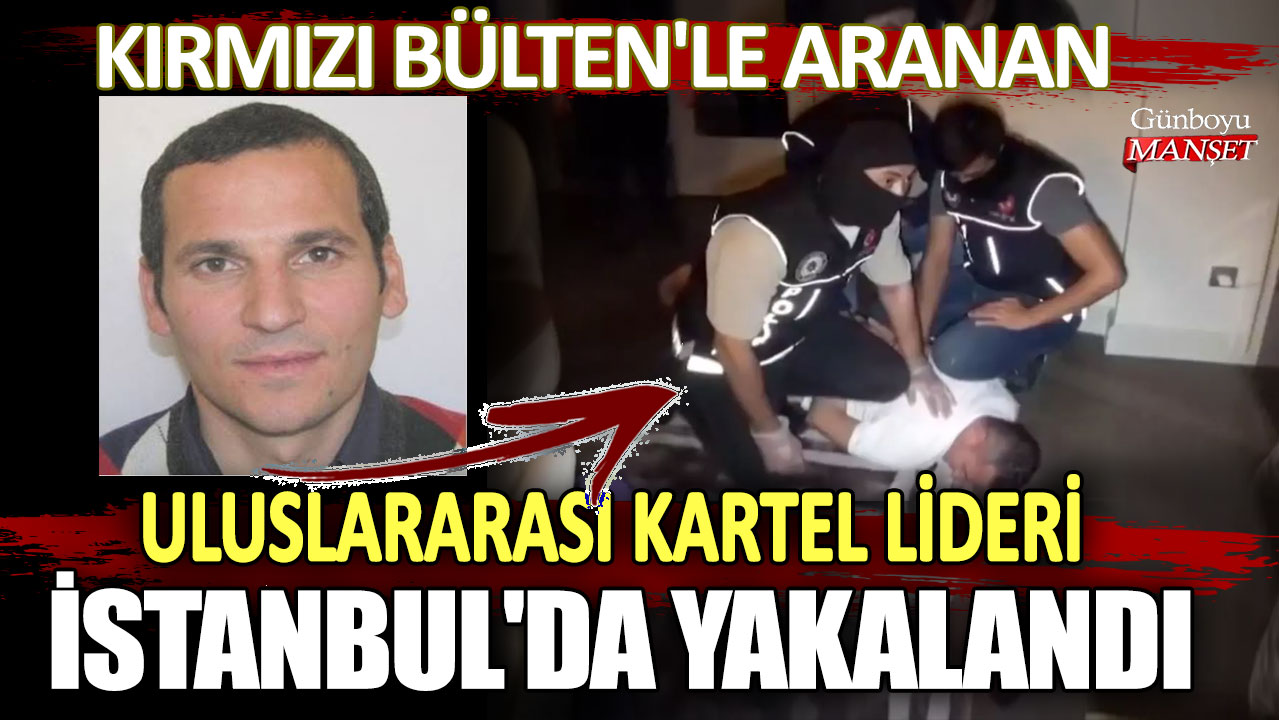 Kırmızı Bülten'le aranan uluslararası kartel lideri İstanbul'da yakalandı!