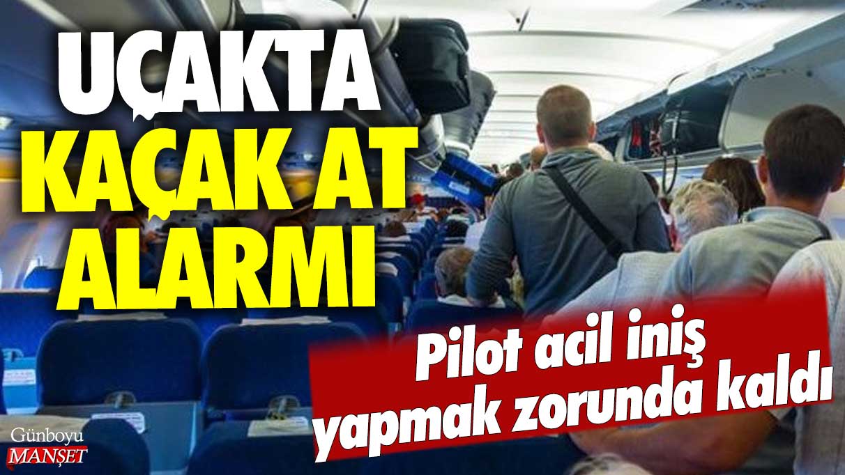 Uçakta kaçak at alarmı: Pilot acil iniş yapmak zorunda kaldı